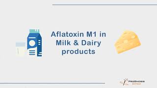 Aflatoxin M1 in Milk & Dairy